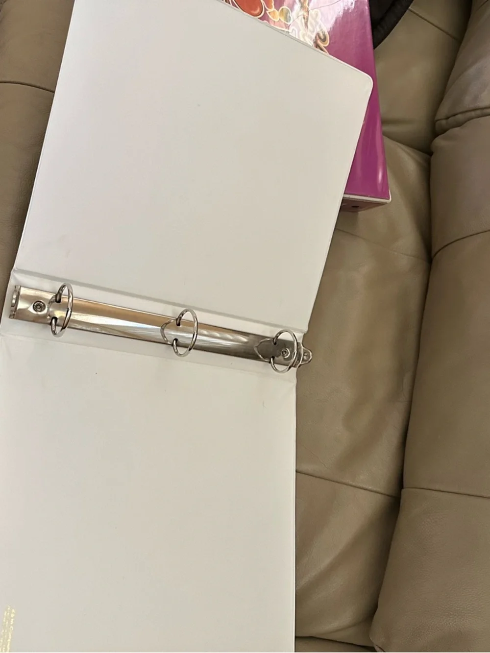 2 3-ring binders.  From the 1970s.
